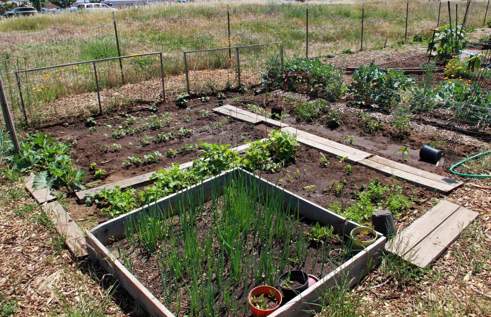 Different Community Garden Plot Designs