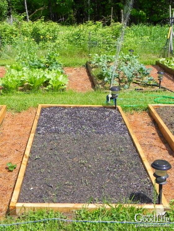 Garden Plan Potager Layout