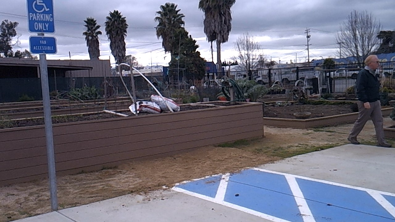 A Garden Plot