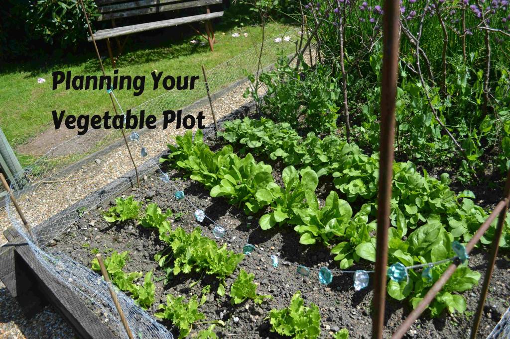 15 Planting a Garden Plot Ideas You Should Check SharonSable