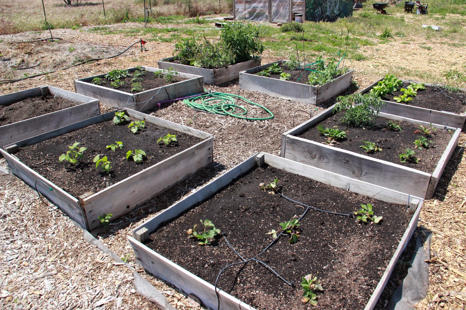 Different Community Garden Plot Designs