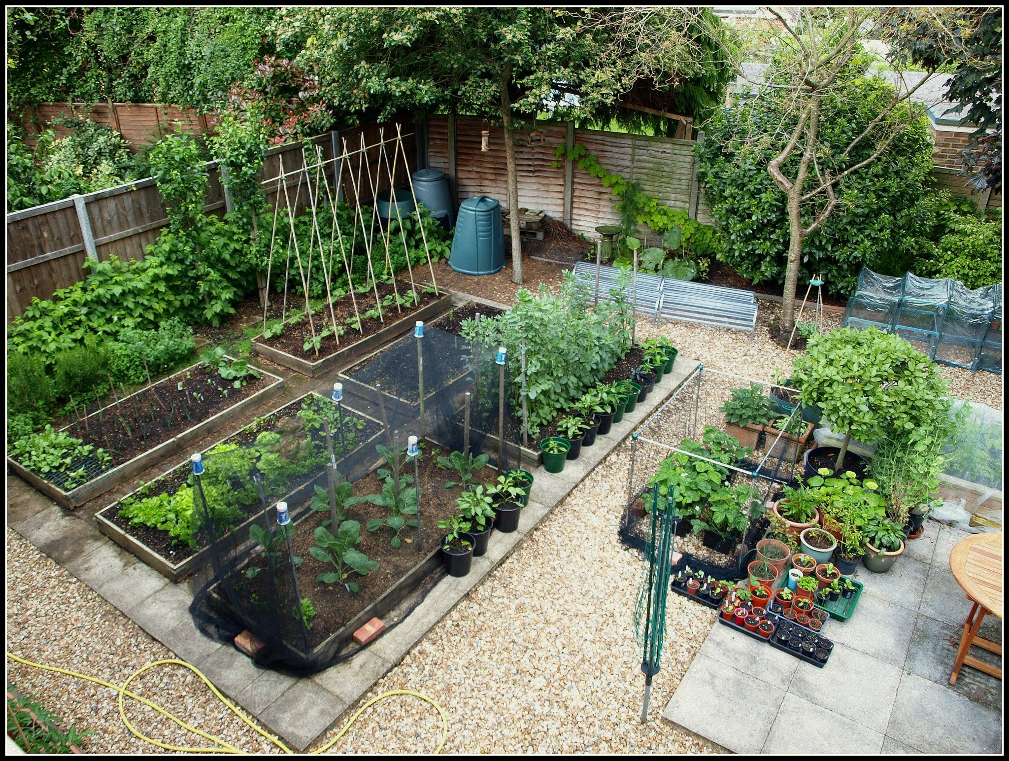 Small Vegetable Garden Layout