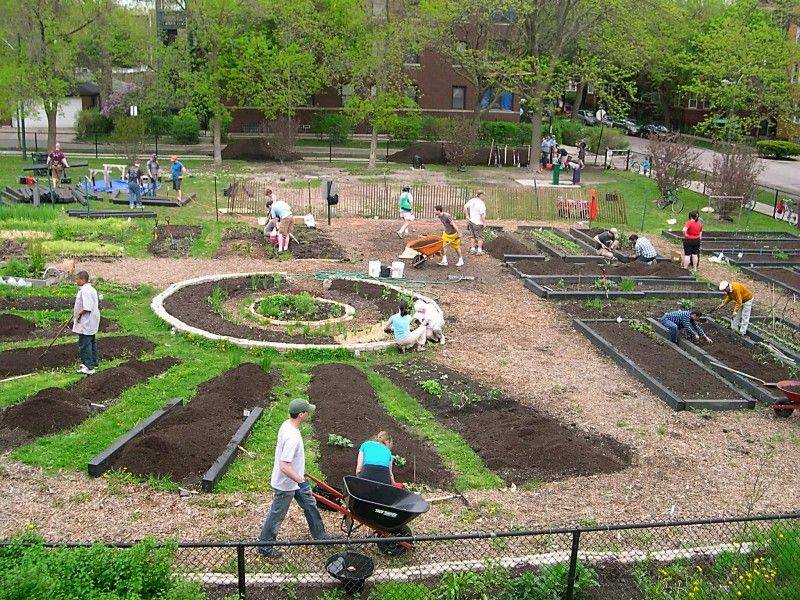 Top Community Garden Ideas