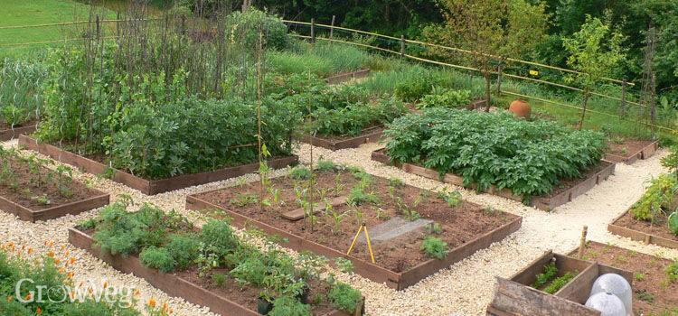 Favorite Vegetable Garden