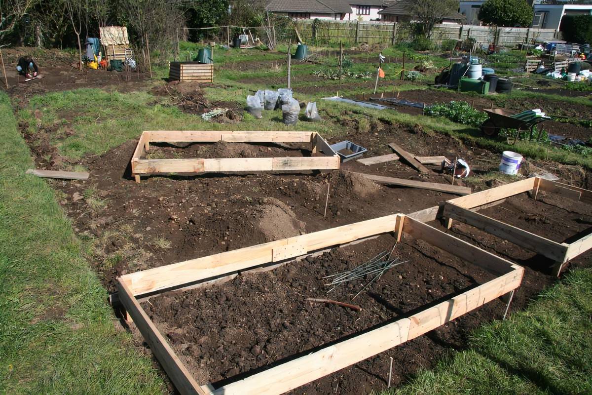 18 Laying Out a Garden Plot Ideas You Should Check SharonSable