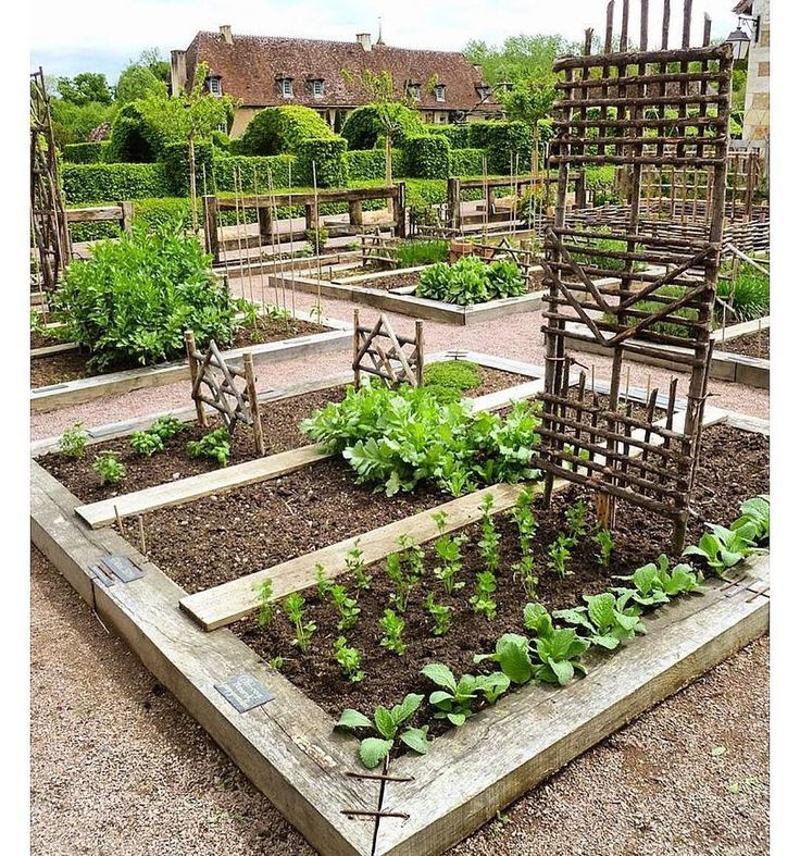 Vegetable Garden Layout Gardening Channel