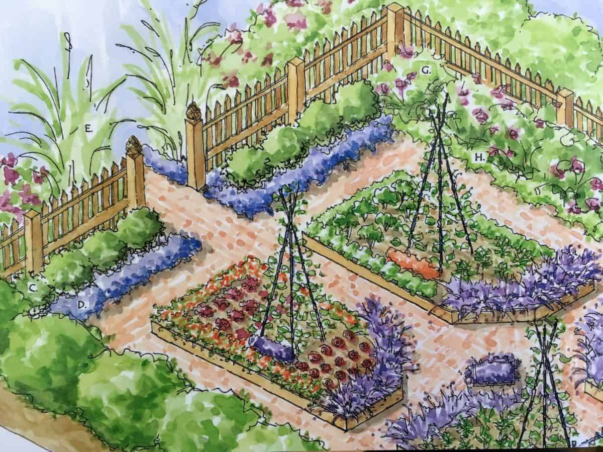 Kitchen Garden Designs
