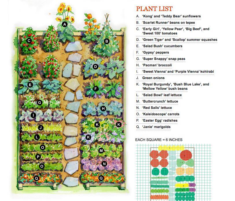 Small Vegetable Garden Layout
