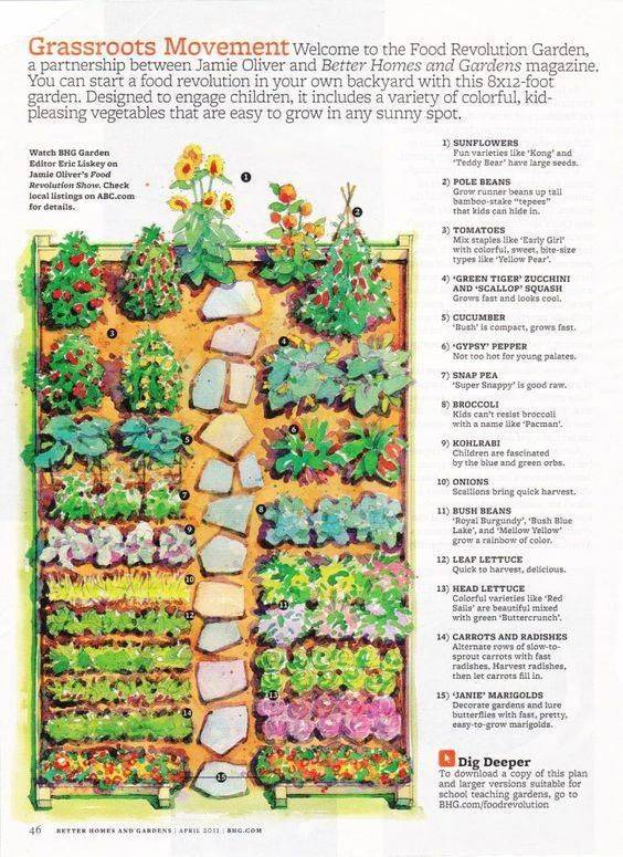 Vegetable Garden Layout Gardening Flowers