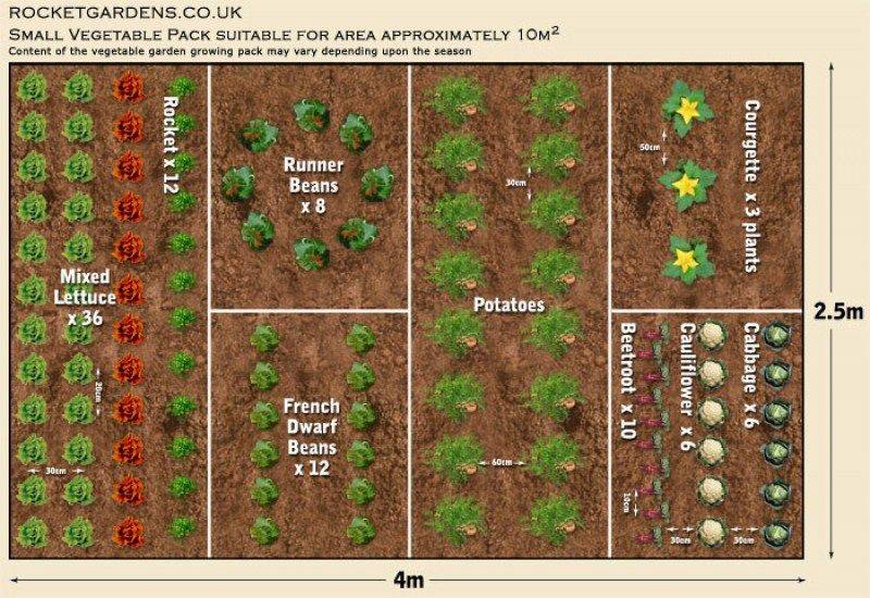 Garden Plan Firstyear Spring Garden Planning
