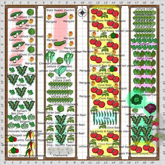 Garden Plan X Garden