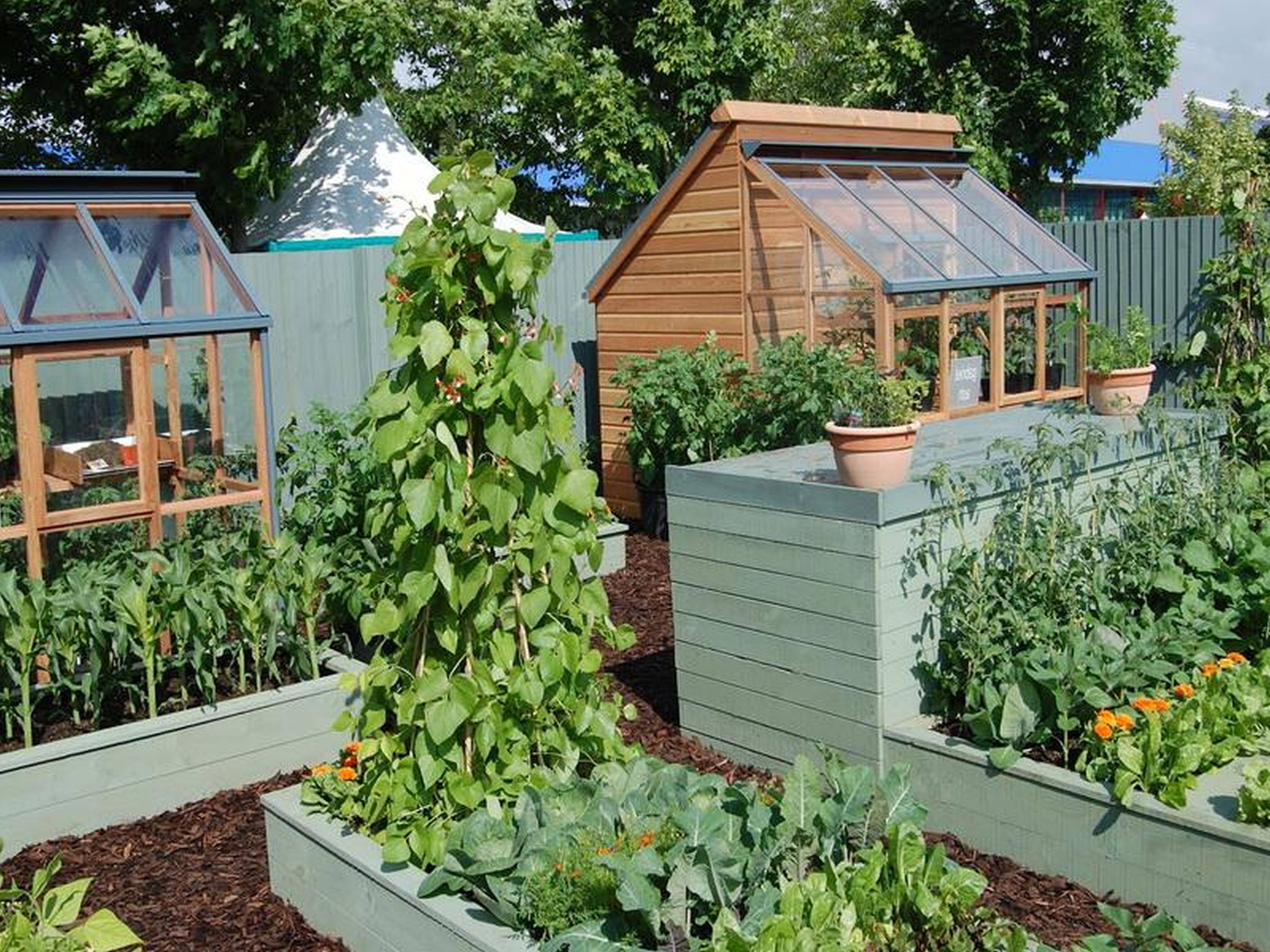 Garden Plan Allotment