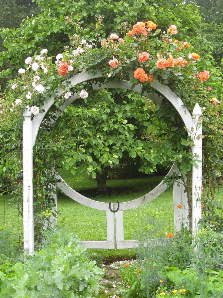 An Enchanting Outdoor Space Wooden Garden