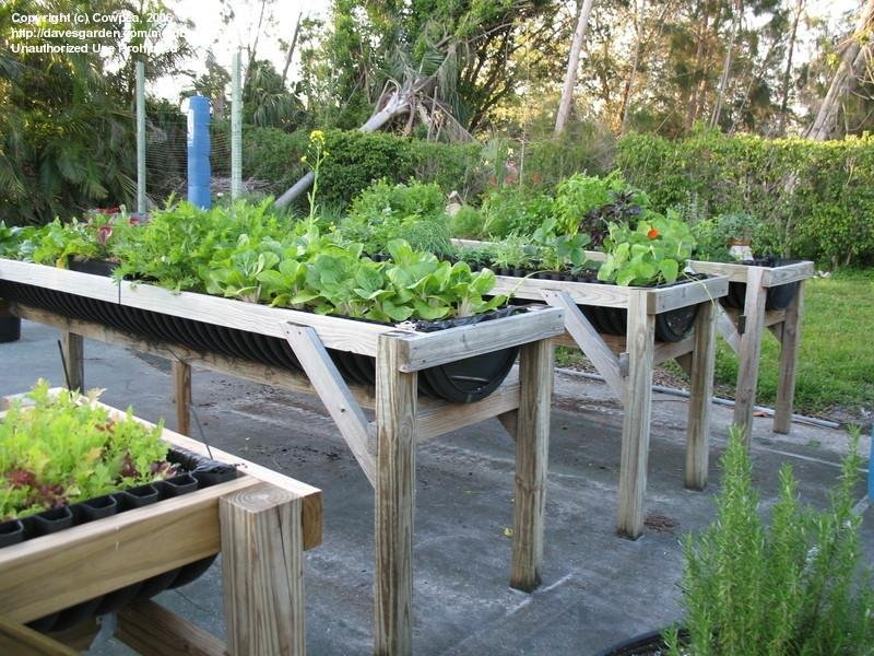 Accessible Gardening