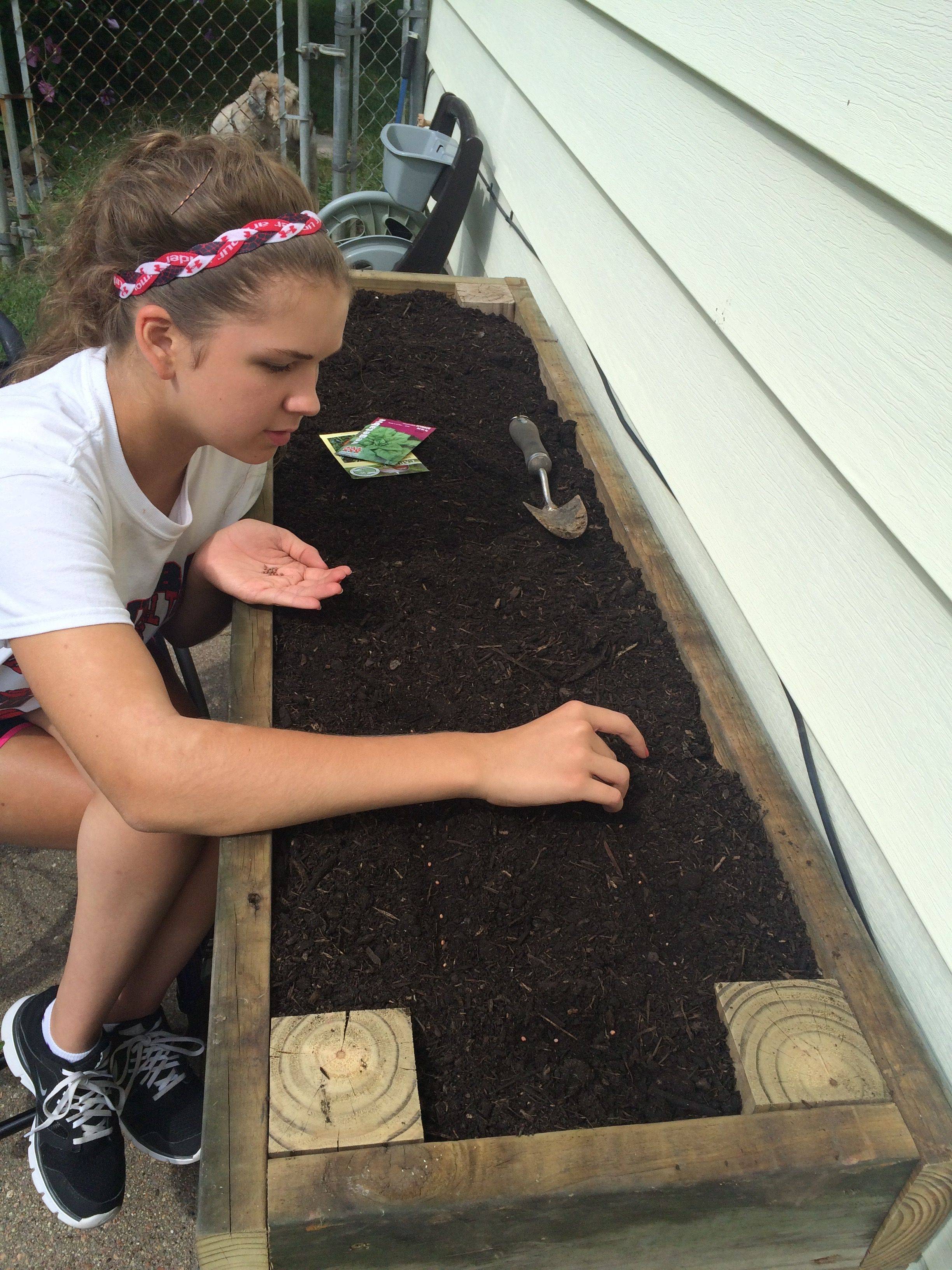 Design For Raised Garden Beds Wheelchair Accessible Garden Ftempo