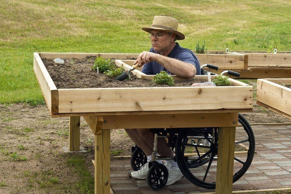 Handicap Accessible Raised Garden Beds