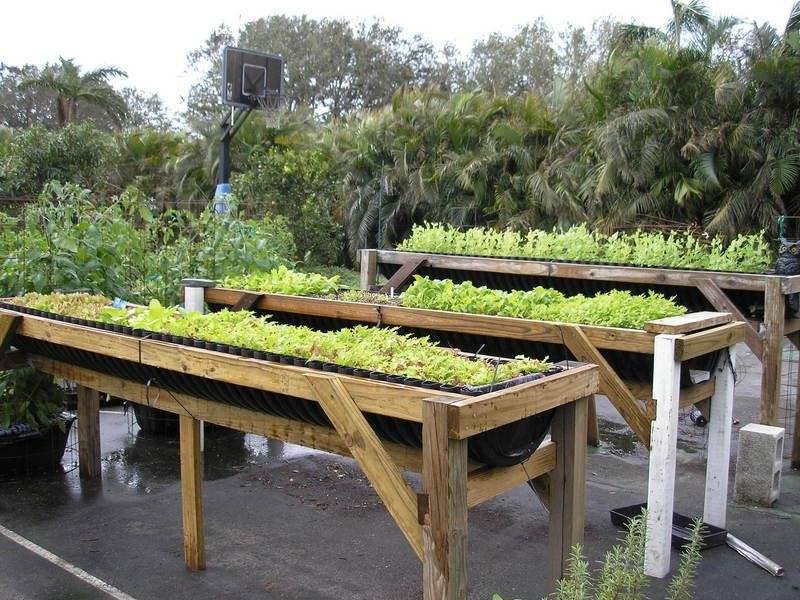 A Wheelchair Accessible Raised Bed Garden