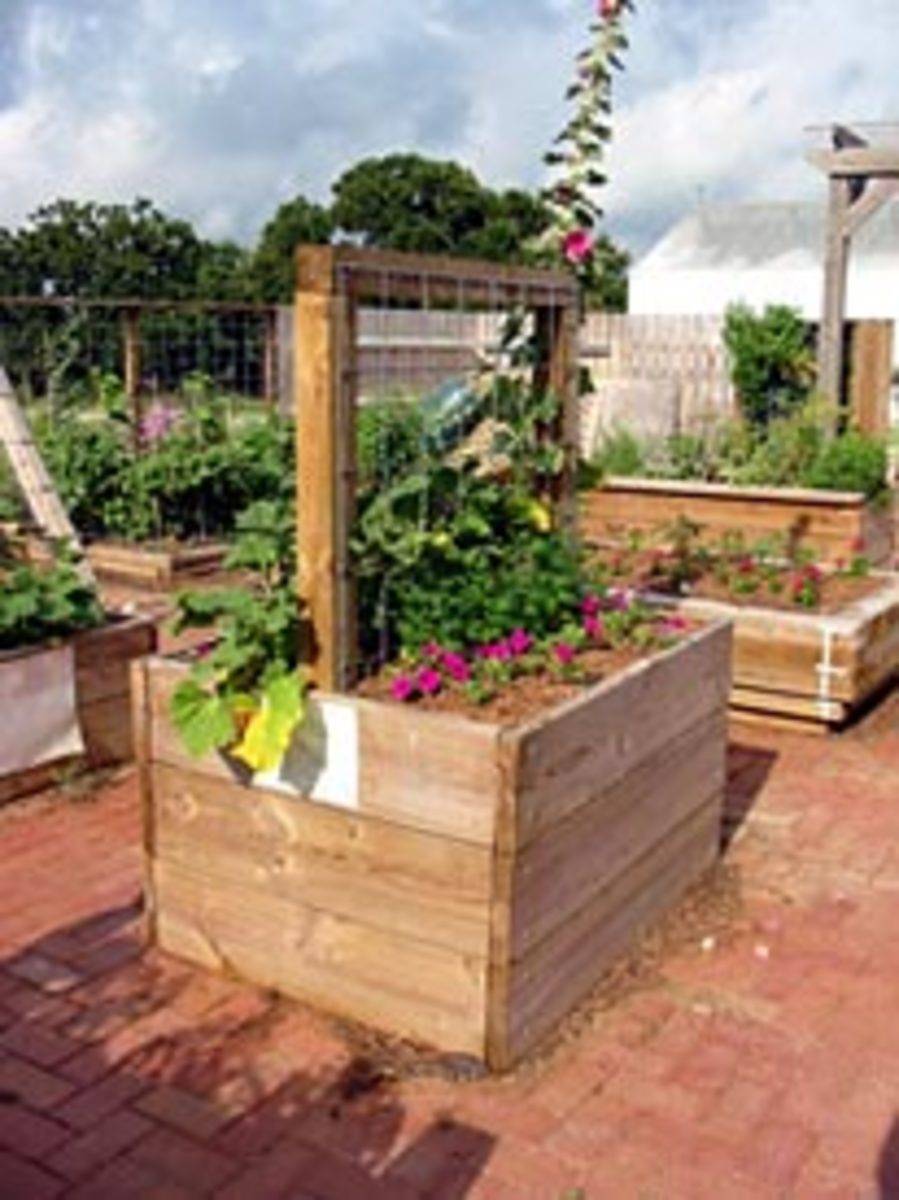 Raised Bed Herb Garden