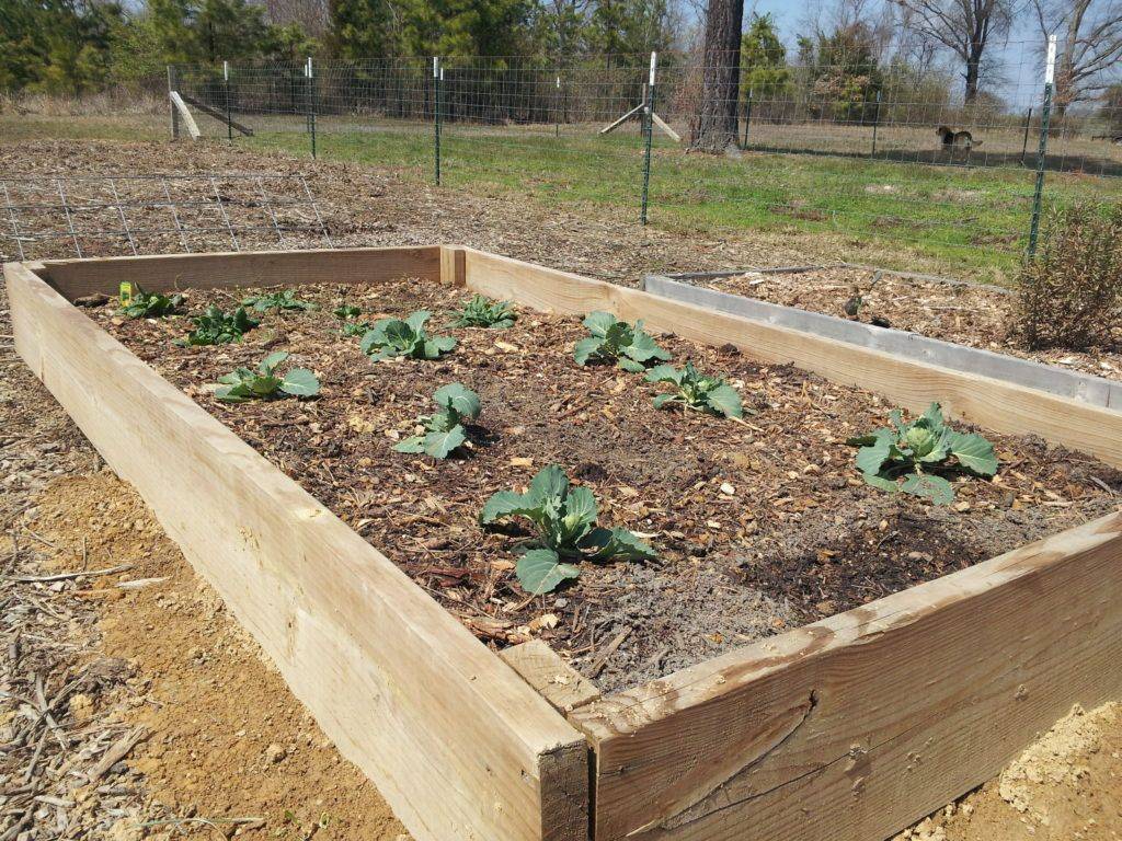 Diy Raised Garden Bed Plans