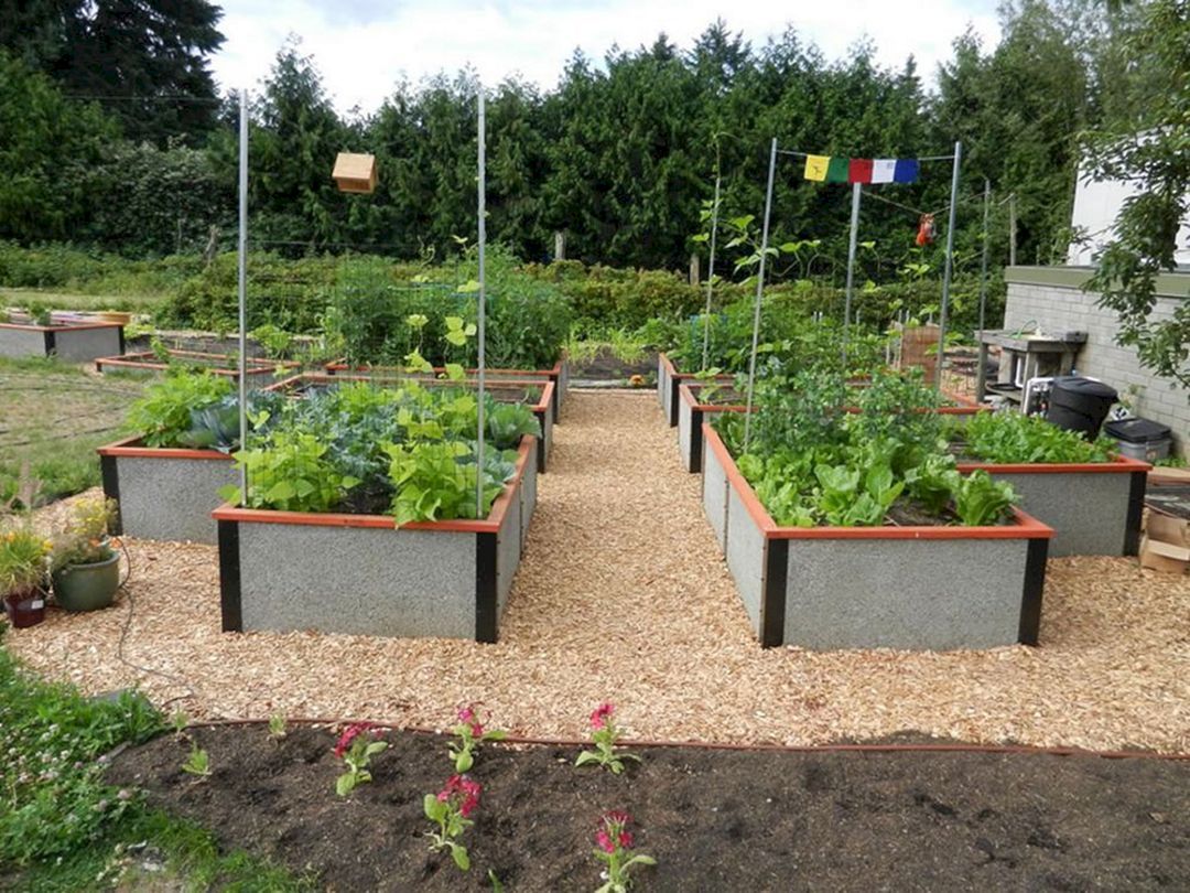 A Raised Bed Garden Raised Bed Vegetable Garden Layout