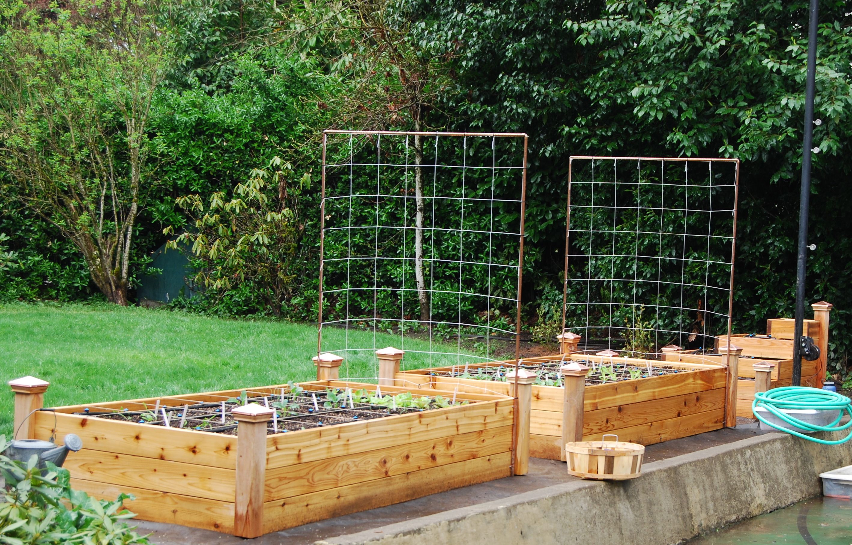 Raised Bed Garden Design