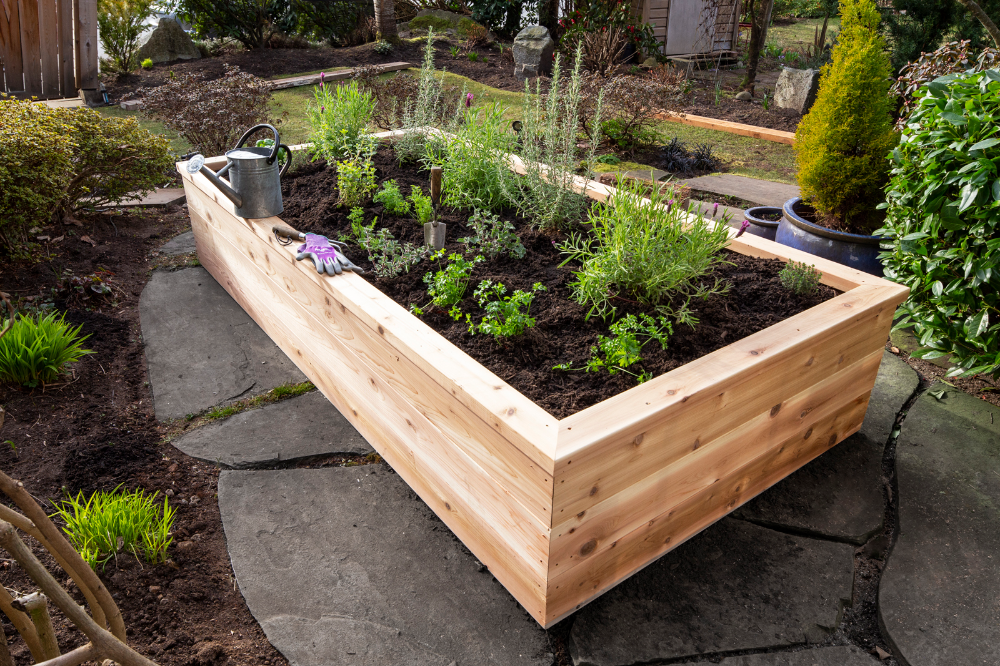 Raised Bed Garden Design