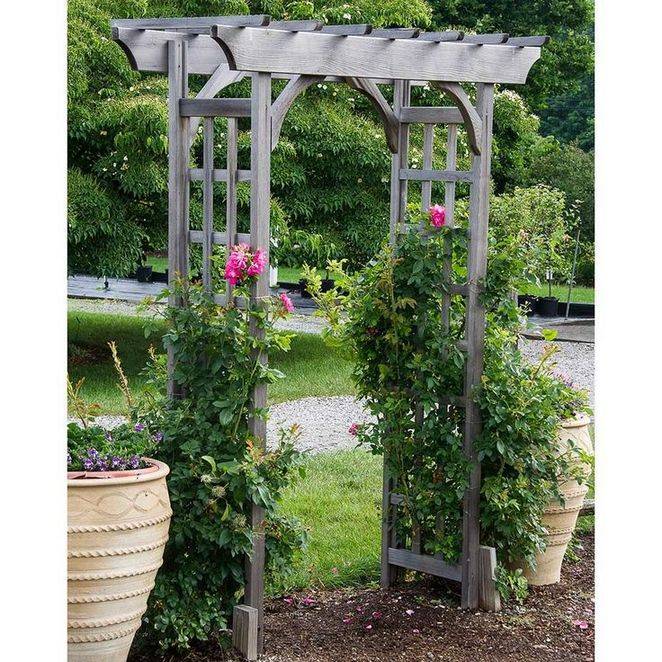 Creative And Easy Diy Trellis Ideas