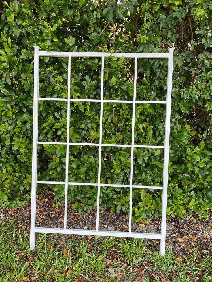 Classic Metal Garden Trellis Plant Trellis