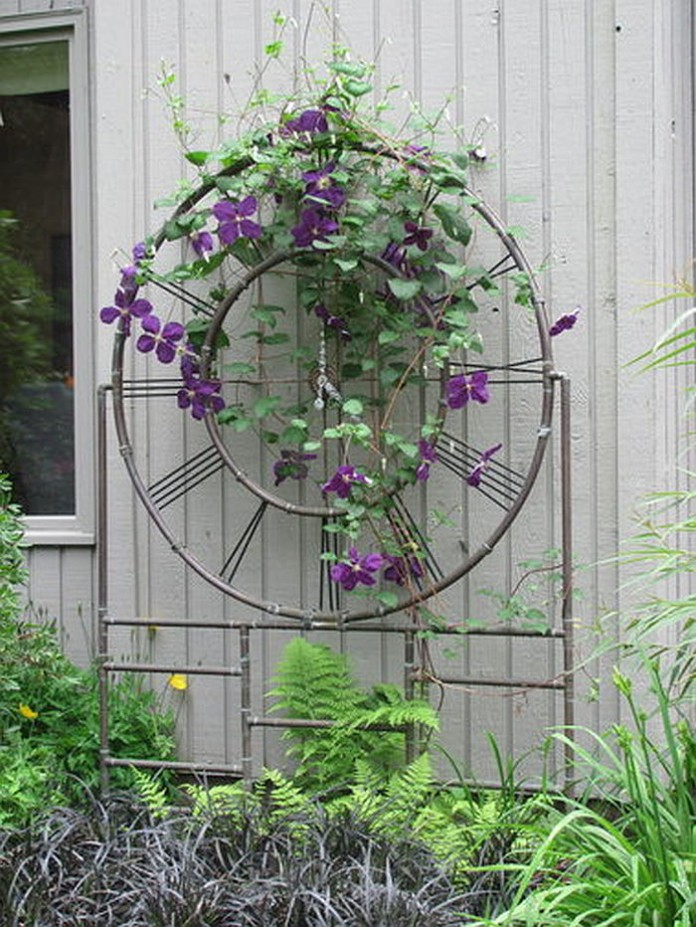 Garden Trellis Ideas