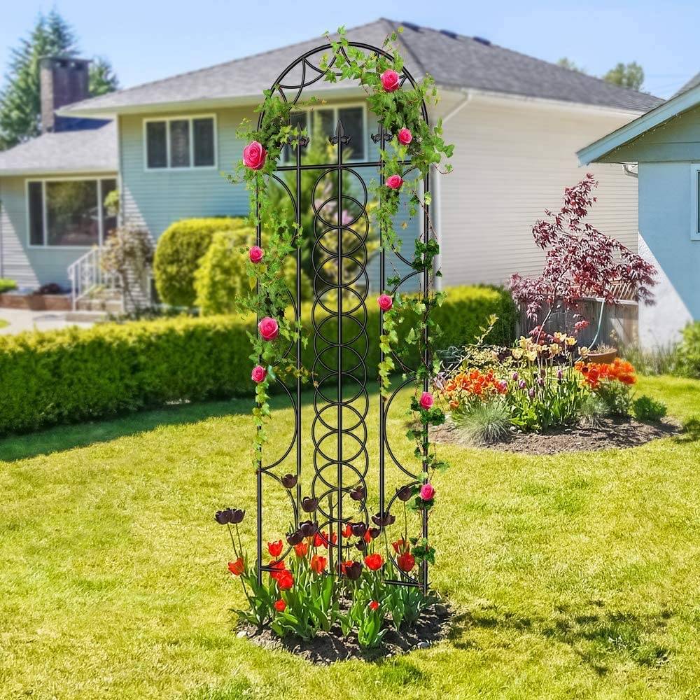 Metal Garden Arch Trellis Ideas