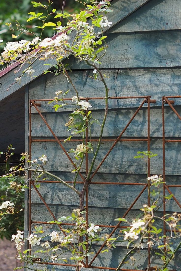 These Metal Garden Trellises