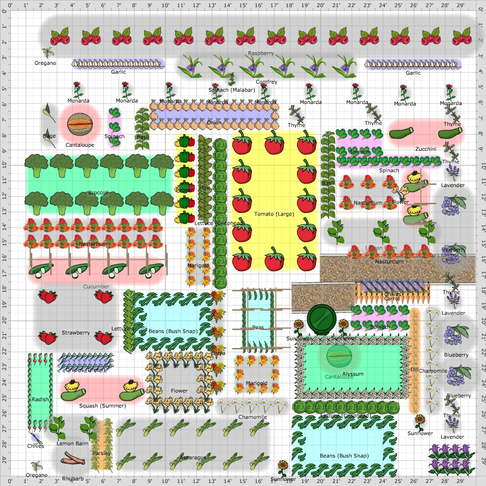 Garden Plan Plot V