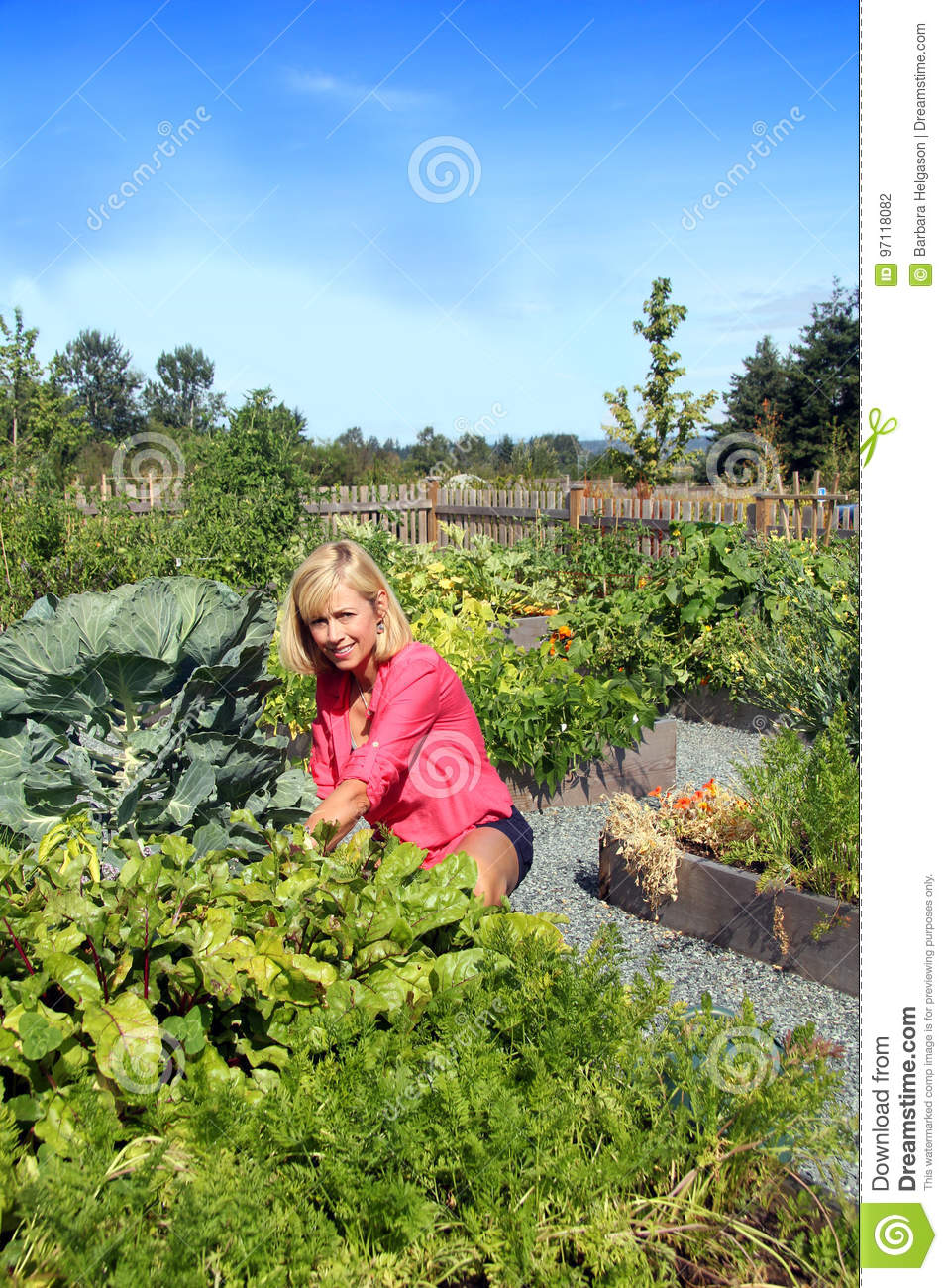 Stock Photo Image