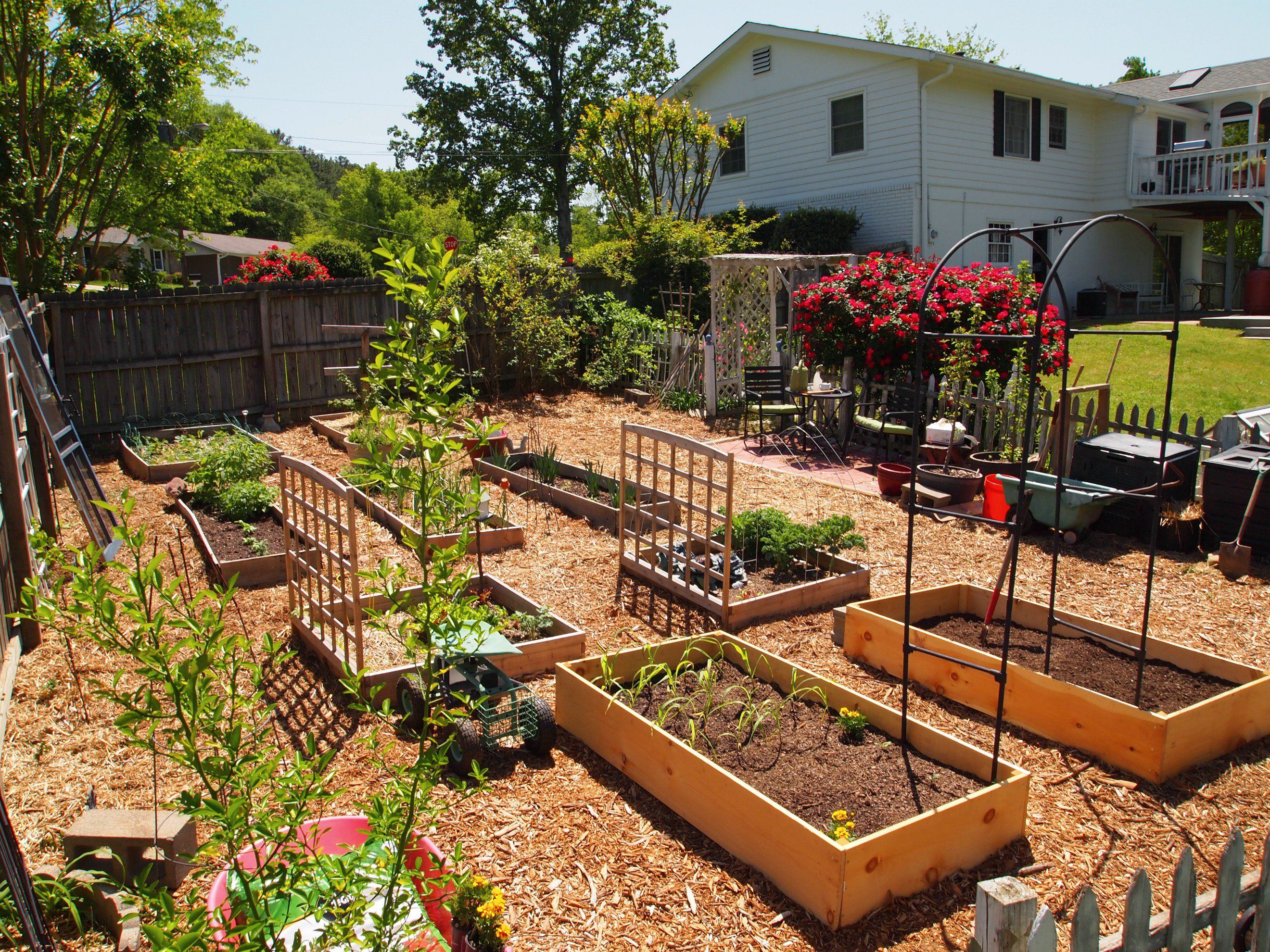 Easy Vegetable Garden Layout Ideas