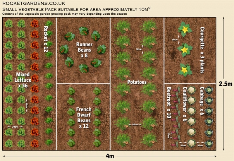 Garden Layout Vegetable