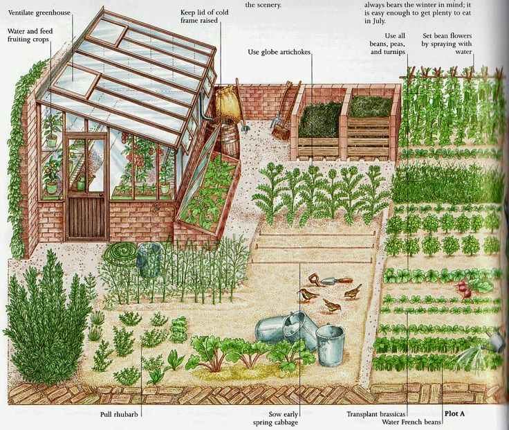 Vegetable Garden Layout Tips