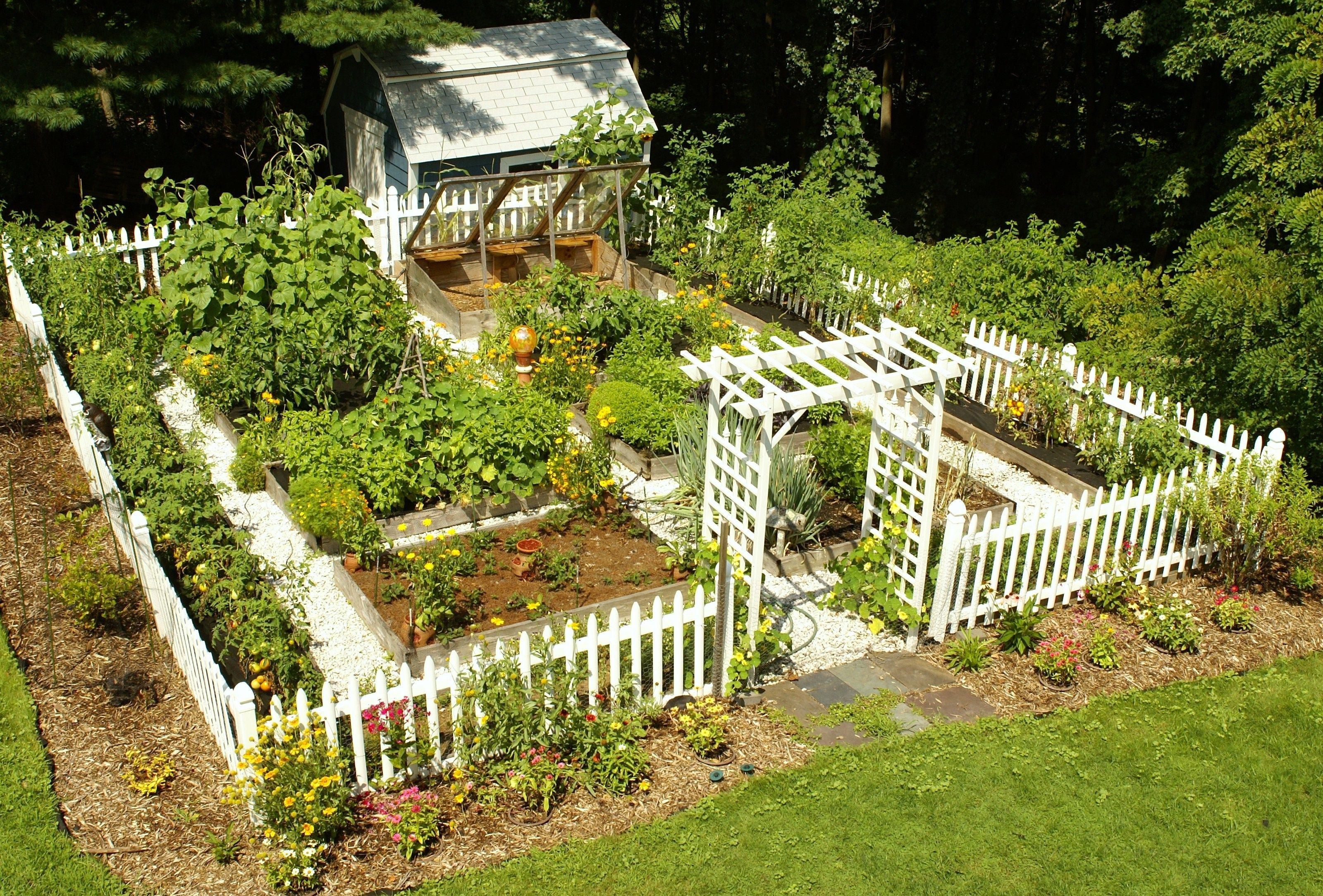 A Cultivated Nest Fruit Garden Layout