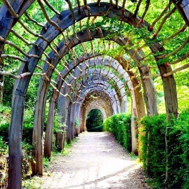 Wooden Garden Arch Ideas Home Decor And Garden Ideas Garden