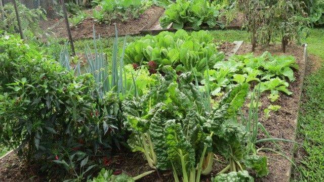 Regenerative Fiber Farming Farm Ecosystems Farmer