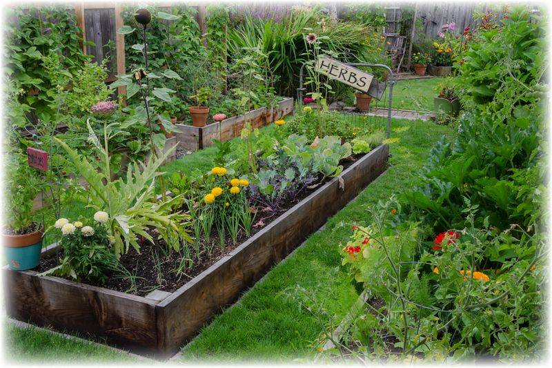 Regenerative Gardening
