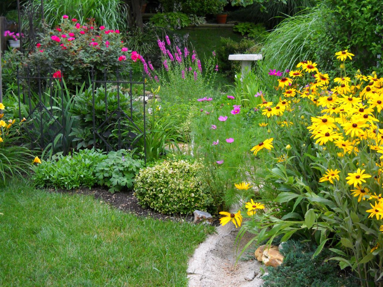 Great Rain Garden Landscaping Design Ideas