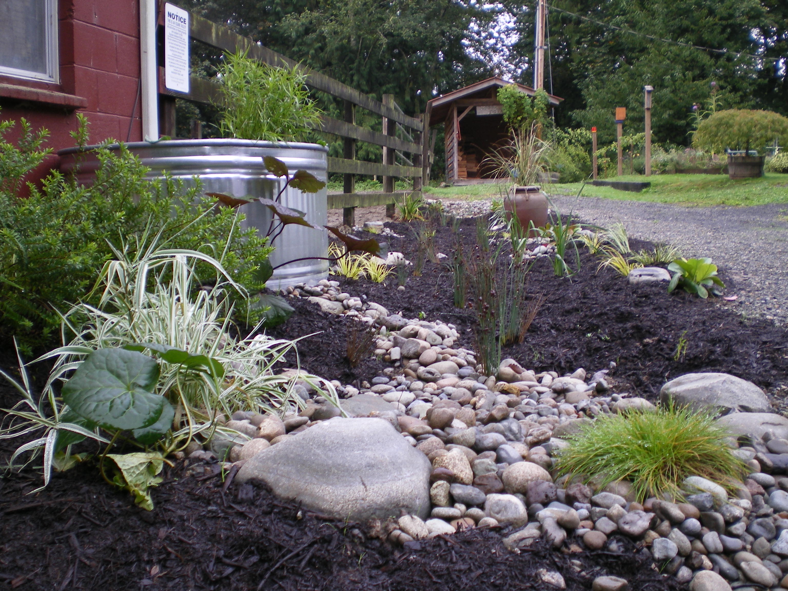 Great Rain Garden Landscaping Design Ideas