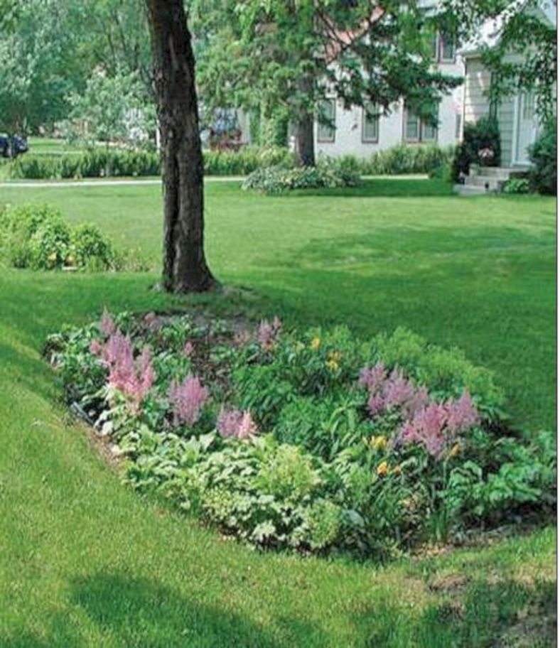 Amazing Rain Garden Design Ideas Hgtv