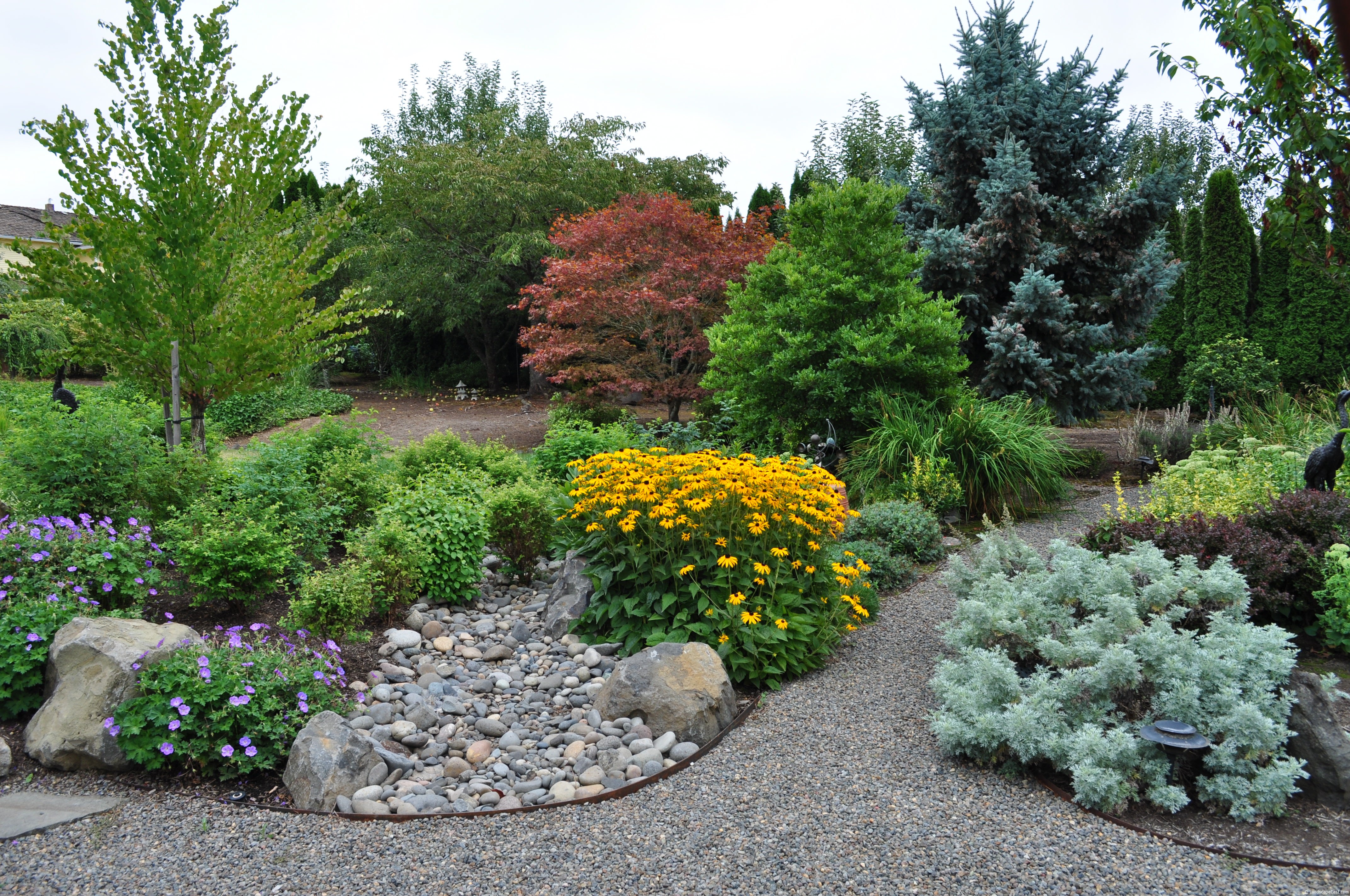 Rain Gardens Designs Yahoo Image Search Results