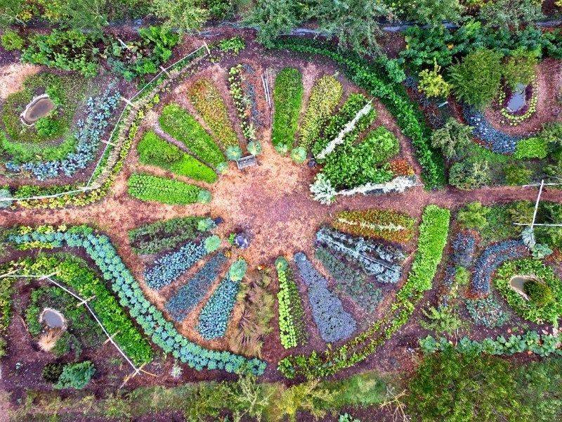 Amazing Mandala Garden Designs