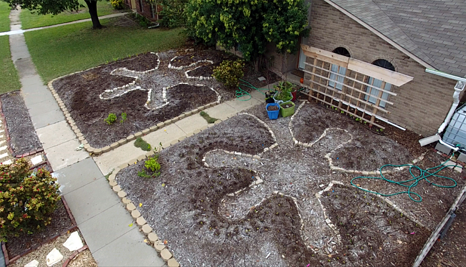 Mandala Garden Design