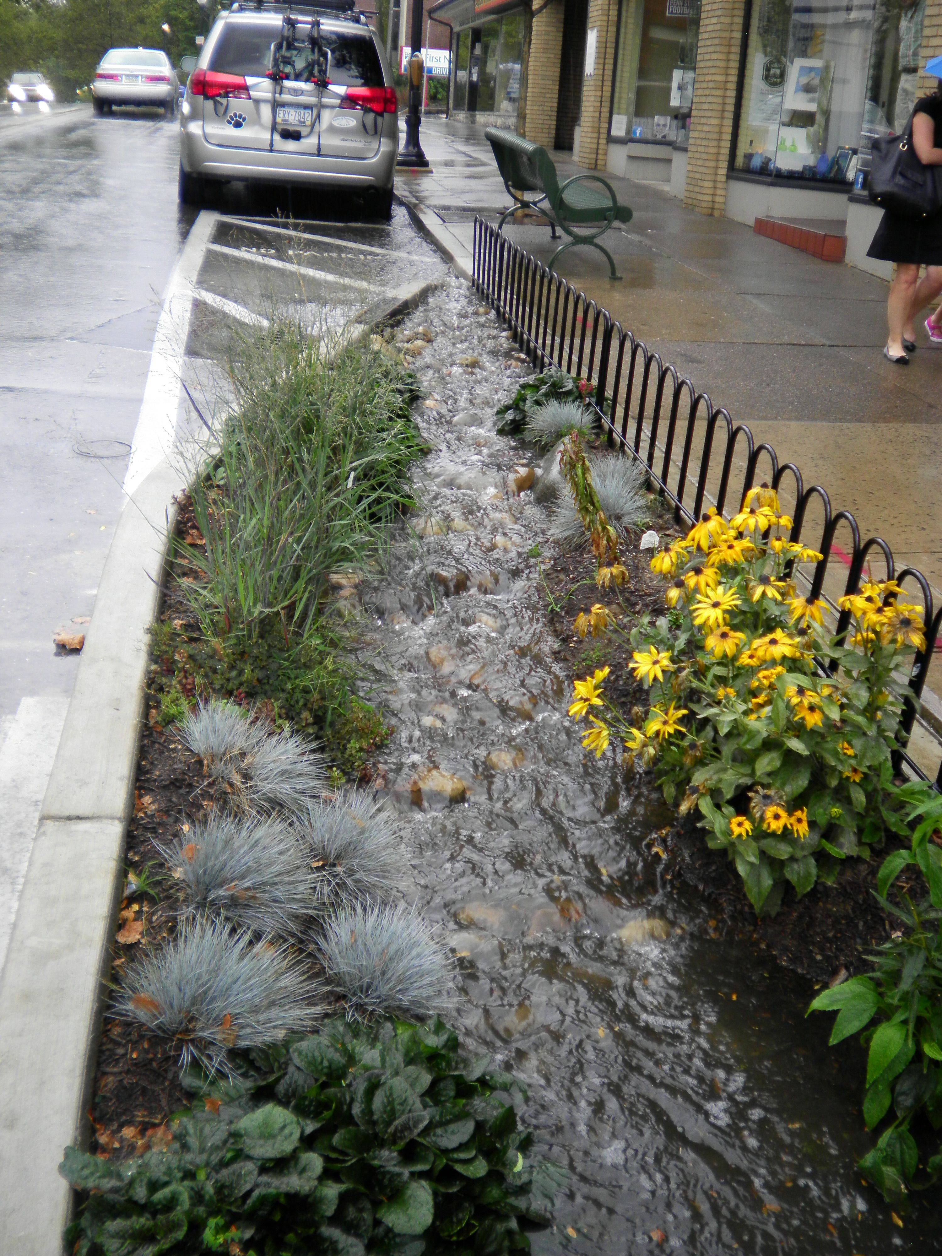 Totally Inspiring Rain Garden Design Ideas Trendhmdcr Rain