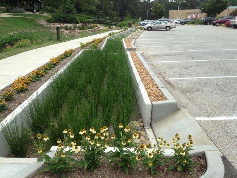 Totally Inspiring Rain Garden Design Ideas Trendhmdcr Rain