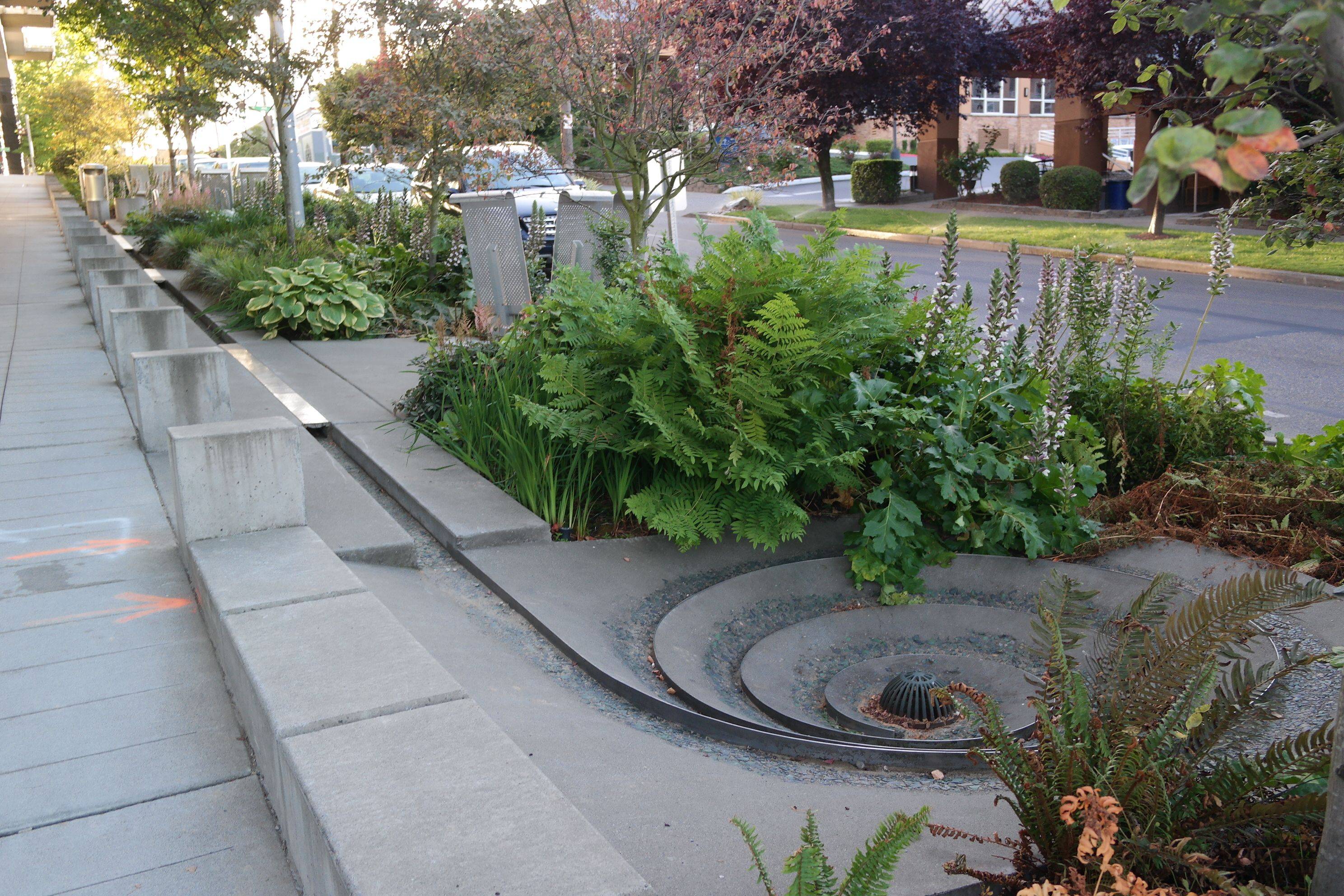 Bright Rain Garden Design Ideas