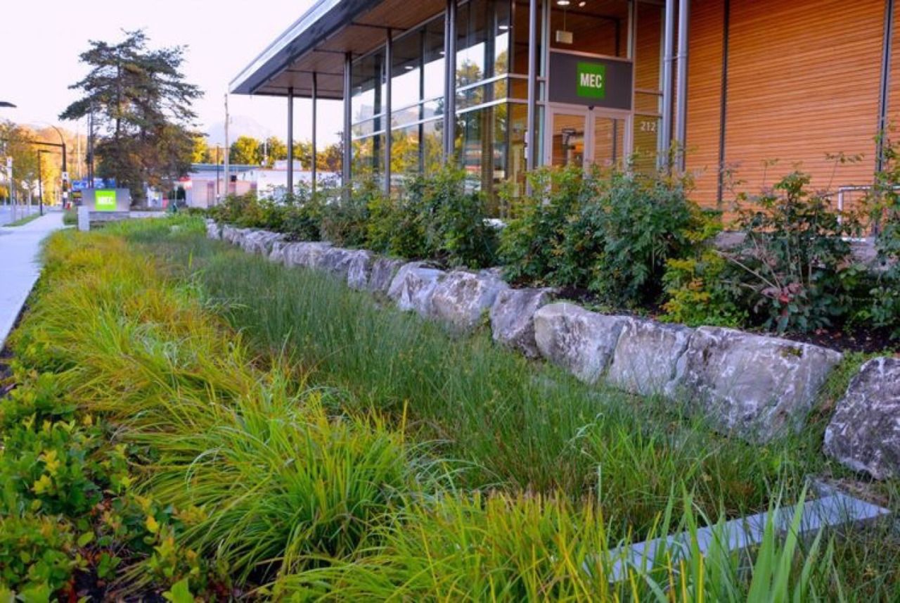 Amazing Rain Garden Design Ideas Hgtv Rain Garden Design